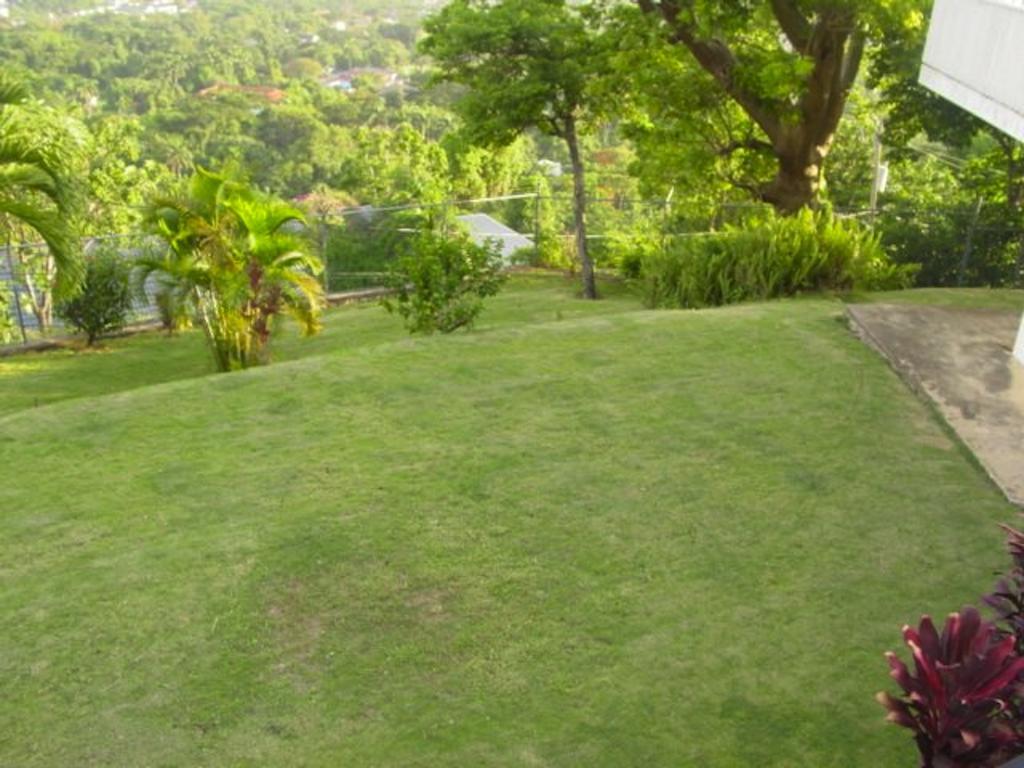 Hill Top Kingston Jamaica Экстерьер фото